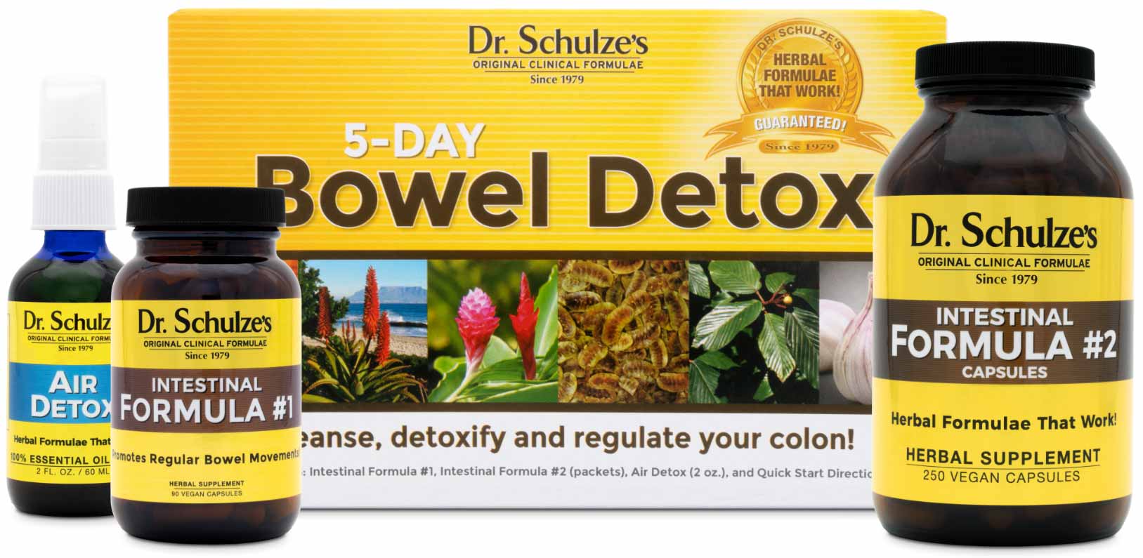 Dr Schulzes 5 Day Bowel Detox The Best Colon Cleanse 