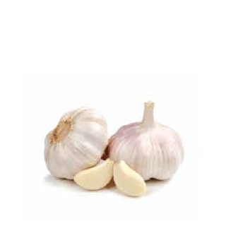 Garlic Bulb