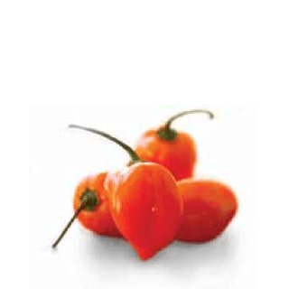 Habanero Pepper