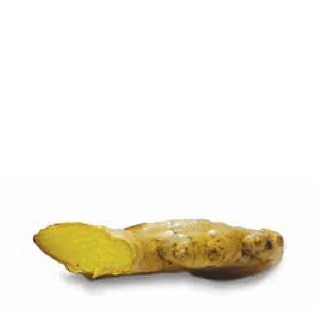 Hawaiian Yellow Ginger Root
