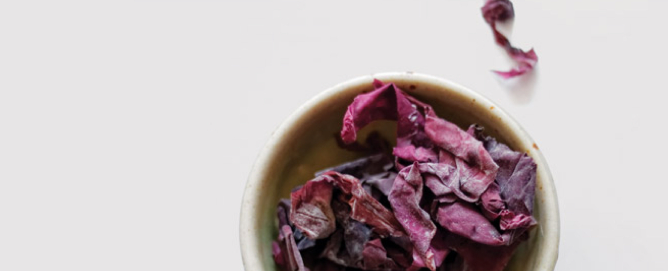 How Herbal Medicine Works